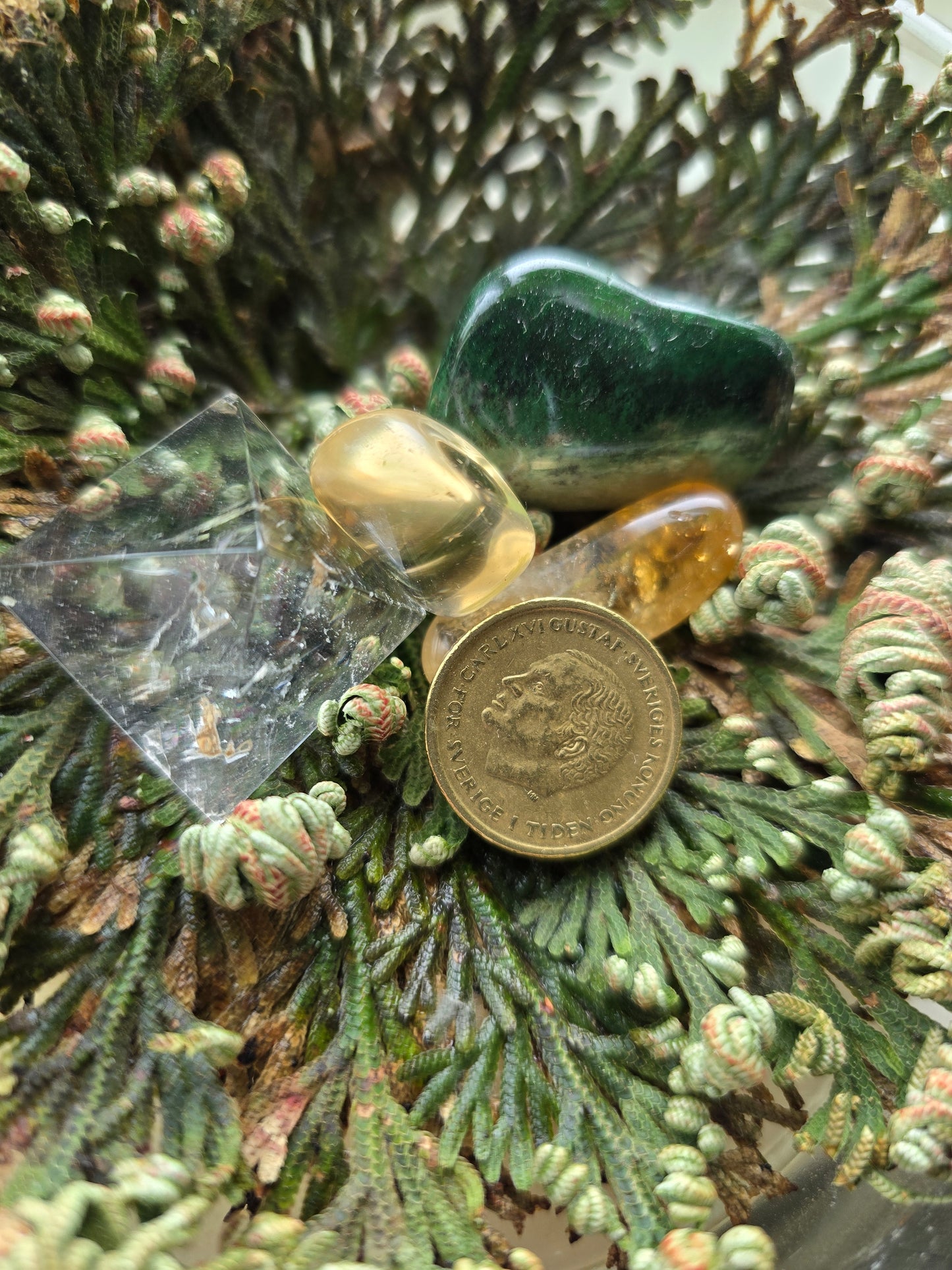 Rose of Jericho, Tur & Pengar
